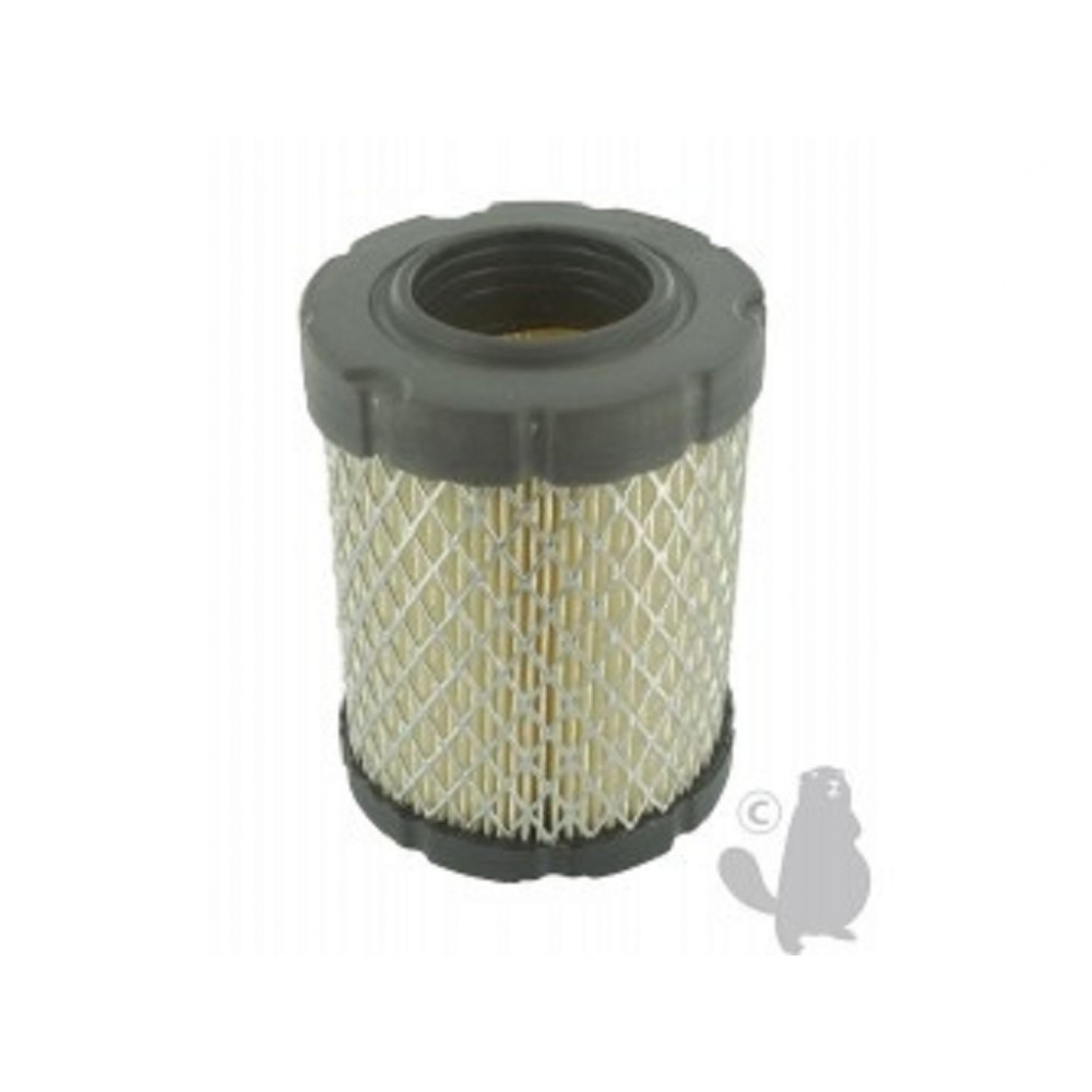 FILTRE A AIR BRIGGS 796032 ADAPTABLE