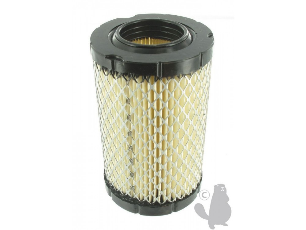 FILTRE A AIR POUR BRIGGS STRATON 796031