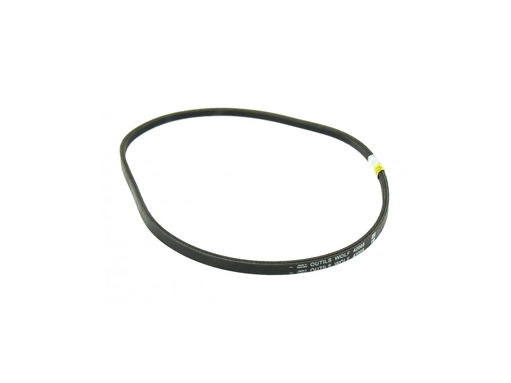 COURROIE WOLF TAH TAHF T51K2P 42005