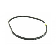 COURROIE WOLF TAH TAHF T51K2P 42005