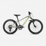 ORBEA MX 20 XC